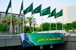 الرياض تكتسي باللون الأخضر والاعلام خفاقة
