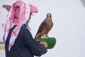 انطلاق النسخة الثالثة لمهرجان الملك عبدالعزيز للصقور.
