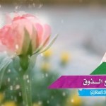 الشاعر والراوي سعدون بن فهد الهرس يحتفل بزواج شقيقة سلمان