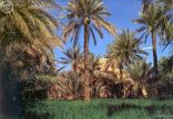 هيئة السياحة تمنح 10 مزارع بمنطقة الرياض عضوية السياحة الزراعية “أرياف”