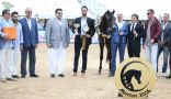 ميدالية ذهبية لمربط عذبة في بطولة البحر المتوسط لجمال الخيل العربية بفرنسا